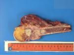 7 NMSP Circulation A21 - Bone case B8.jpg